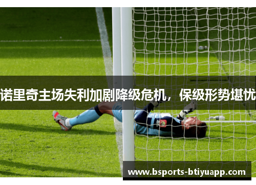 诺里奇主场失利加剧降级危机,保级形势堪忧