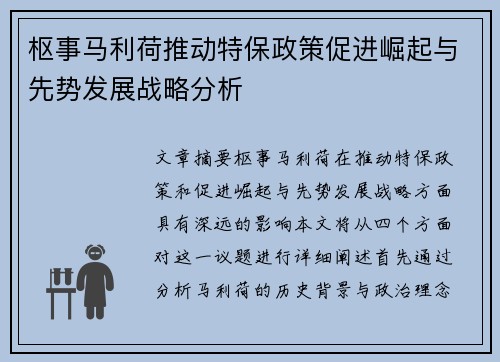 枢事马利荷推动特保政策促进崛起与先势发展战略分析