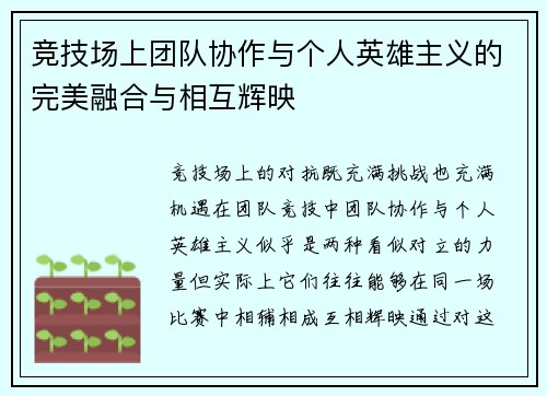 竞技场上团队协作与个人英雄主义的完美融合与相互辉映