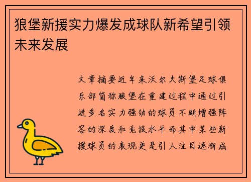 狼堡新援实力爆发成球队新希望引领未来发展