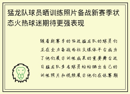 猛龙队球员晒训练照片备战新赛季状态火热球迷期待更强表现