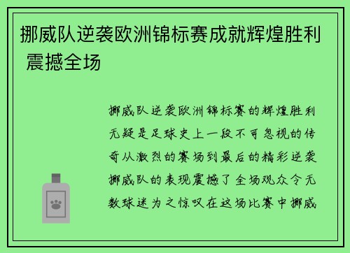 挪威队逆袭欧洲锦标赛成就辉煌胜利 震撼全场