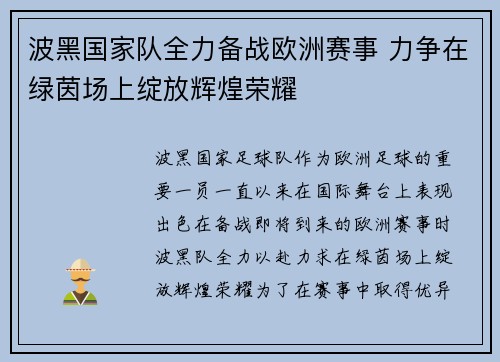 波黑国家队全力备战欧洲赛事 力争在绿茵场上绽放辉煌荣耀